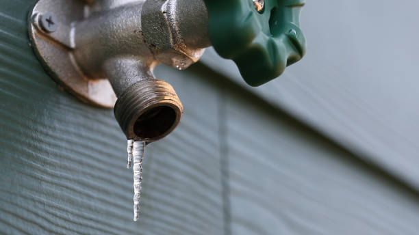 Best Sewer Line Repair  in Liberty, SC